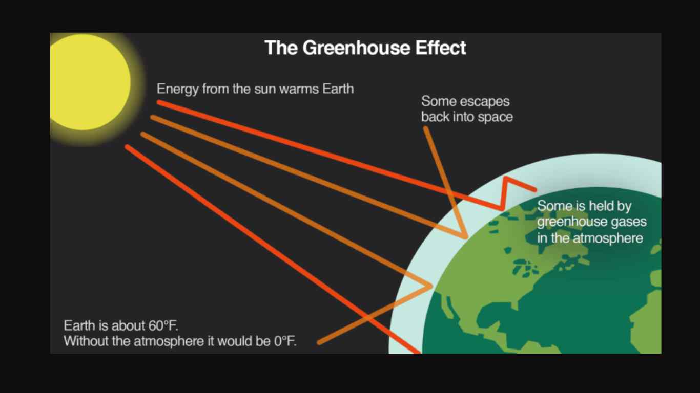 Renewable energy is important because it emits almost no greenhouse gas compared to traditional sources. But what are greenhouse gasses?