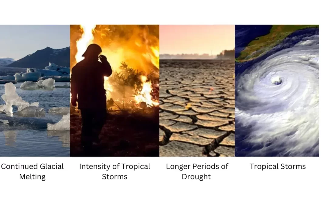 What are the Effects of Climate Change?